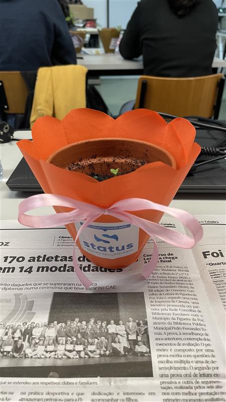 Decoração Dia da Mãe